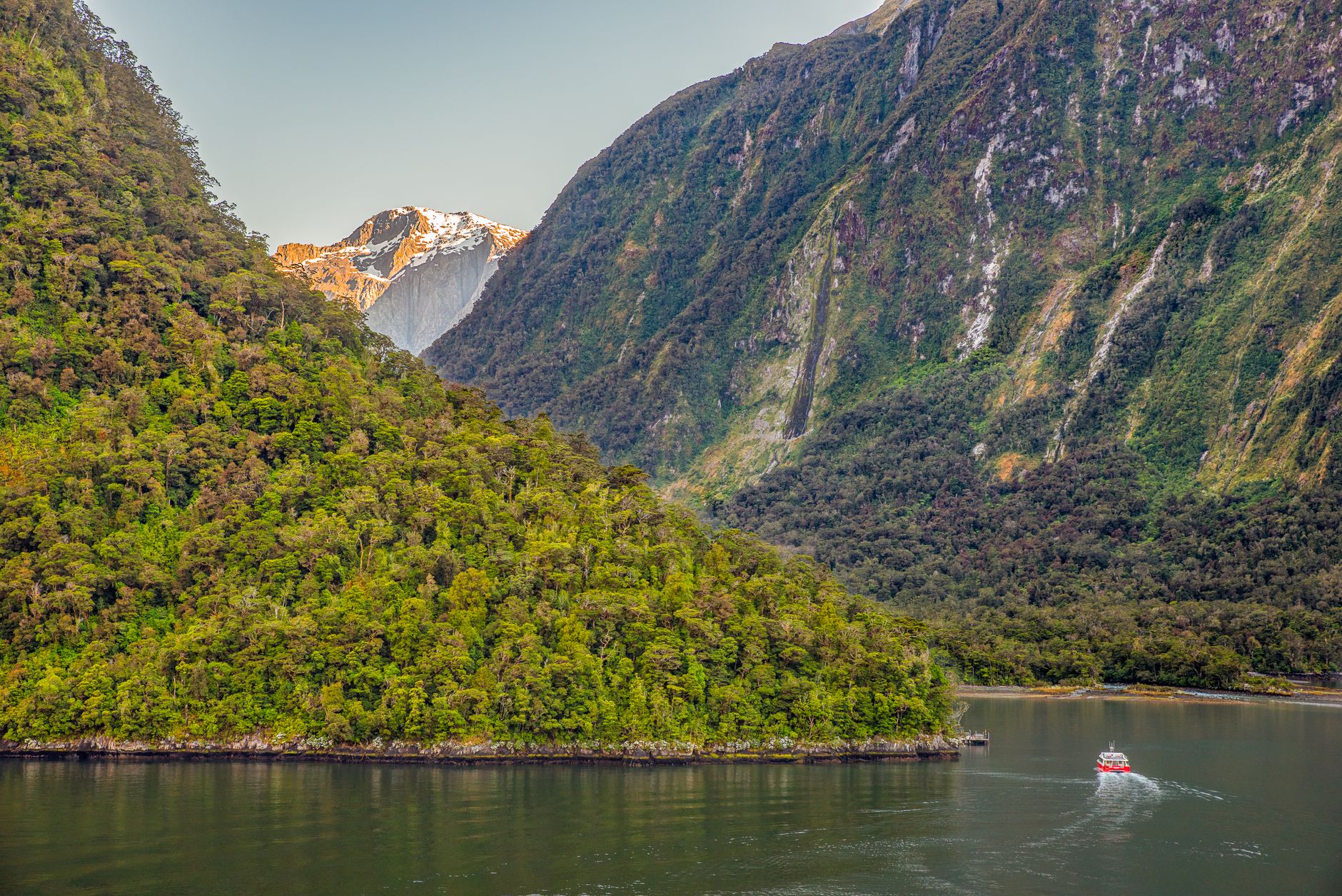 Fiordland National Park New Zealand landscape